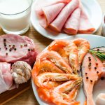 Protein foods for the Dukan diet