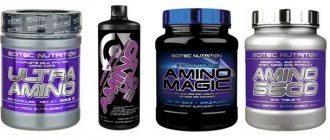 Four forms of Amino from Skytech Nutrition