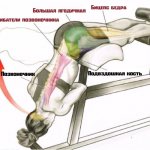 hyperextension working muscles