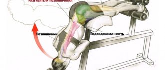 гиперэкстензия работающие мышцы