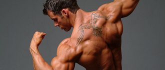 how to quickly pump up your shoulders