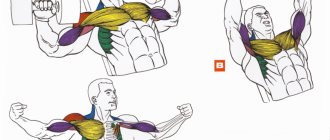 How to pump up your chest and triceps