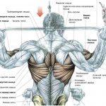 How to pump up your back and shoulders