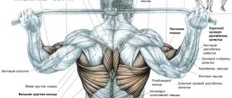 How to pump up your back and shoulders