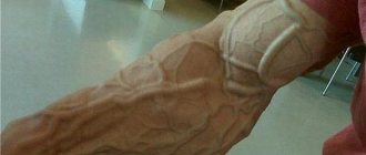 how to pump up veins in your arms, exercises at home