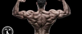 How to straighten your shoulders: what to pump and what exercises to do?