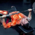 how to increase bench press, strength training program, bench press
