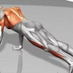 Какие мышцы работают