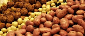amount of carbohydrates in potatoes