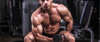 Concentrated biceps curl