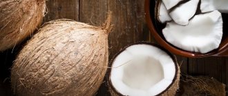 Мякоть кокоса: польза и вред, состав