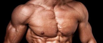 chest muscles photo