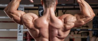 Back muscles photo