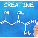 The optimal combination of beneficial amino acids in the food supplement Creatine Maxler