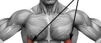 Serratus anterior muscle location