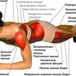 планка какие мышцы работают
