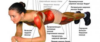 планка какие мышцы работают