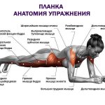 Plank: types and instructions on how to do it correctly