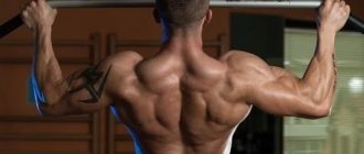 Pull-ups - for back muscles