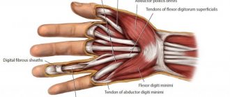 flexor tendon injury