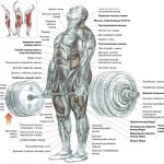Correct Deadlift: Solution to 9 Problems