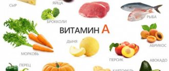 продукты питания с высоким содержанием витамина А