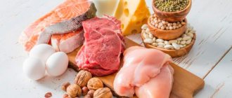Foods containing the most protein