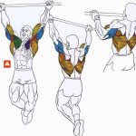 Pull-up program on the horizontal bar for weight: scheme for muscle growth