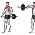 standing barbell pull