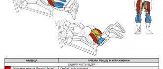 working muscles when bending legs while lying down