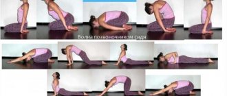 Development of spine flexibility