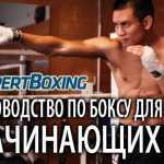 A Beginner&#39;s Guide to Boxing