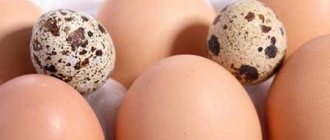 Сколько в одном яйце грамм белка