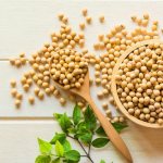 Soy - benefits and harms for the health of women and men
