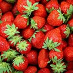 fresh strawberries with green tails