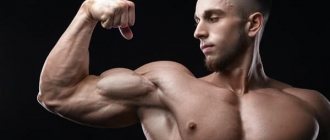 Biceps workout