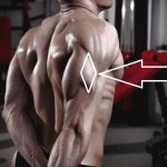 Triceps workout