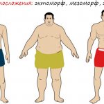 Три типа телосложения