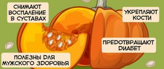 Pumpkin puree soup. Calorie content per 100 grams, benefits, harm, dietary supplements. Classic recipe, dietary 