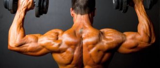 Shoulder exercises in the gym and at home