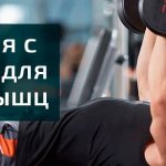 Exercises with dumbbells for the pectoral muscles