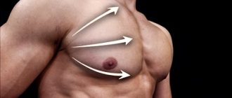 Upper, middle, lower chest