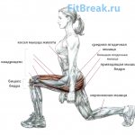 Lunges: working muscles