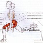 Dumbbell Lunges, Back Lunges, Glute Lunges