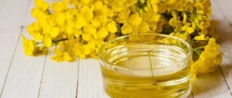 Mysterious camelina oil - benefits and harms for the human body