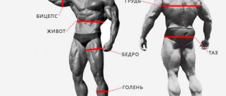 Body measurements in bodybuilding