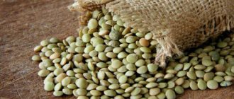 Green lentils: benefits and harms