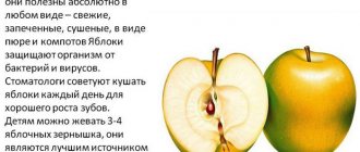 Green apple. Calorie content 1 piece, per 100 g, BJU, how to use 