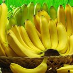 Green banana, or Don&#39;t forget to feed the microbiota